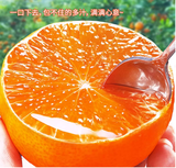 果冻橙四川10斤正宗新鲜当季水果柑橘桔手剥橙子整箱包邮